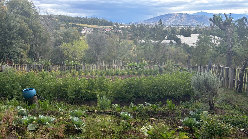 A JUST GROW Team Update